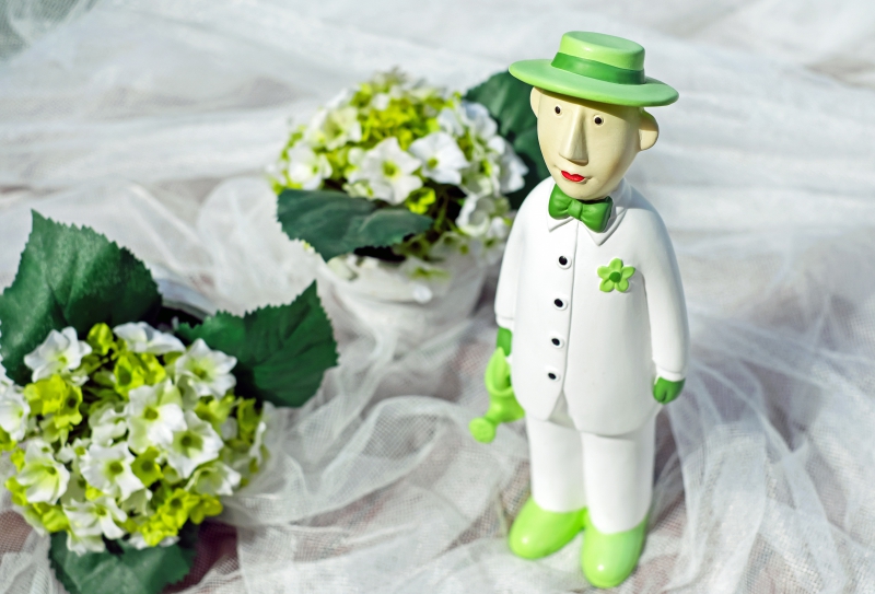 vitrine-SIX FOURS LES PLAGES-min_man-person-flower-green-toy-fig-546529-pxhere.com